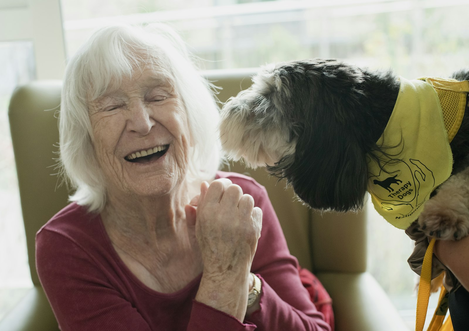 Pet & Companhia · Meu Pet Club